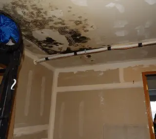 Hawaiian Construction LLC