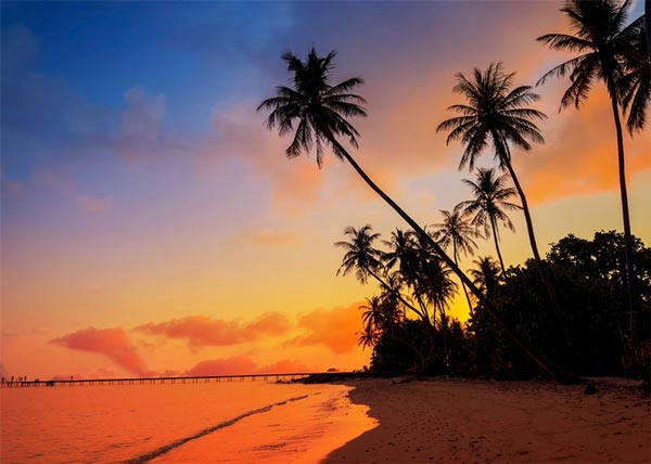 Fire, Water, and Storm Damage Restoration Contractor in Seattle, WA